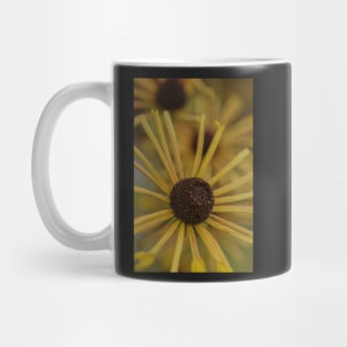 Noteworthy Mug